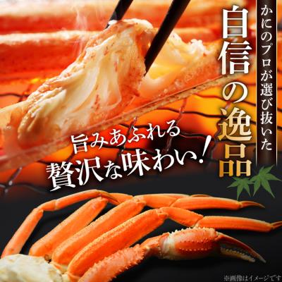 ふるさと納税 気仙沼市 かに ボイル済み 本ずわいがに 脚 3L〜4L 総重量 2kg [20564764] |  | 01