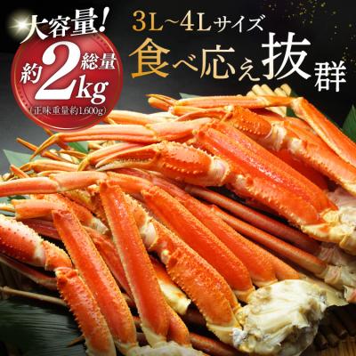 ふるさと納税 気仙沼市 かに ボイル済み 本ずわいがに 脚 3L〜4L 総重量 2kg [20564764] |  | 02