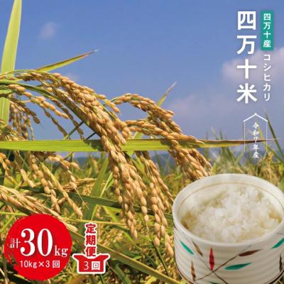 ふるさと納税 四万十市 [令和7年産・3回定期]四万十産四万十米 コシヒカリ (5kg×2袋)×3回(計30kg )R7