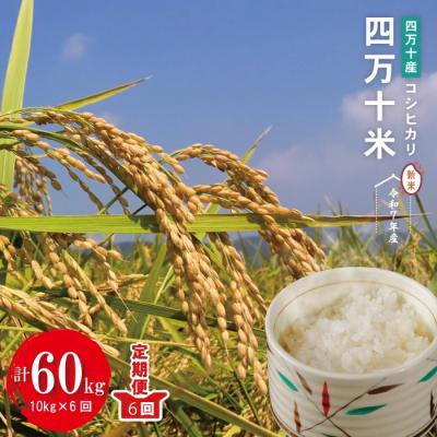 ふるさと納税 四万十市 [令和7年産・6回定期]四万十産 四万十米(コシヒカリ)10(5kg×2袋)×6回 (計60kg