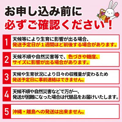 ふるさと納税 福島市 もも「あかつき」約3kg【2026年発送 先行受付】No.2243の画像