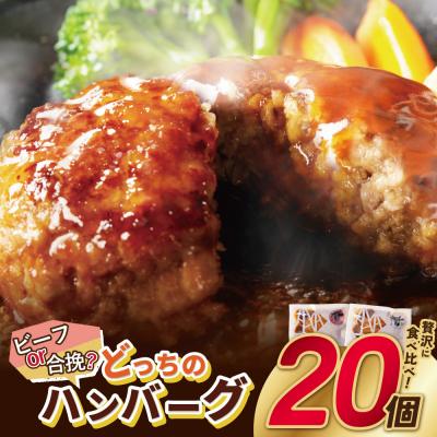 ふるさと納税 福智町 どっちのハンバーグ!?デミグラスソース20個セット | 