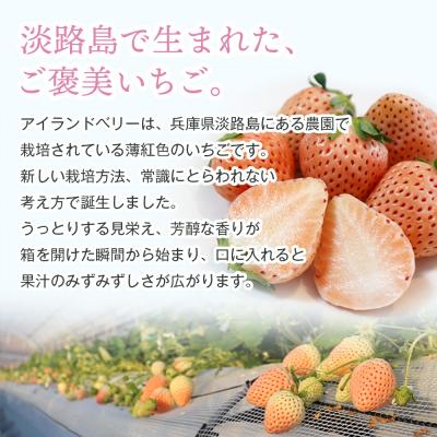 ふるさと納税 淡路市 淡路島アイランドベリー 白苺淡雪 2〜4P入【3月発送先行受付・お届け日指定不可】　as14041 |  | 02