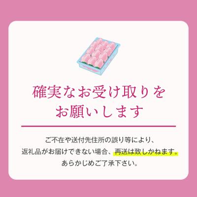 ふるさと納税 淡路市 淡路島アイランドベリー 白苺淡雪 2〜4P入【3月発送先行受付・お届け日指定不可】　as14041 |  | 03