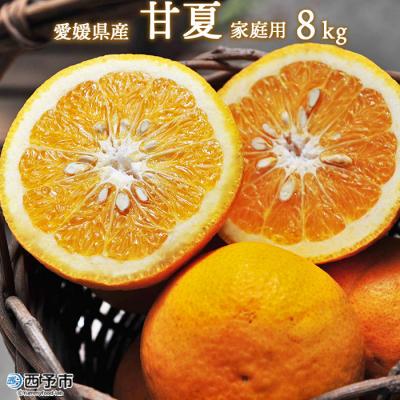 ふるさと納税 西予市 &lt;愛媛県西予市産 甘夏 家庭用8kg&gt; 柑橘 フルーツ 果実 果汁 自宅用 果物