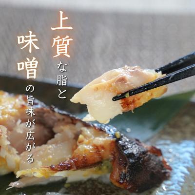 ふるさと納税 焼津市 銀鱈西京漬け(約80g×10切れ)銀だら 銀ダラ(a12-145) |  | 03