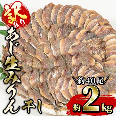ふるさと納税 佐伯市 [訳あり・業務用]あじの生みりん干し (計約2kg・約40尾)