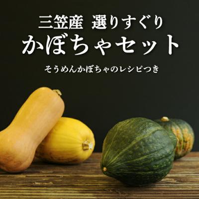 ふるさと納税 三笠市 [令和7年分]数量限定!三笠市産 選りすぐり かぼちゃセット[01145]