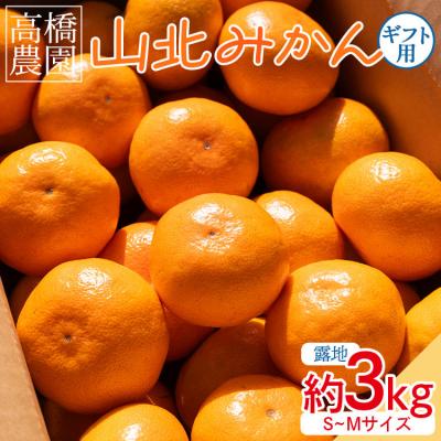 ふるさと納税 香南市 山北みかん3kg(露地・S〜M) 人気 果物 小玉 大玉 混合 フルーツ th-0028