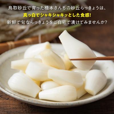 ふるさと納税 鳥取市 橋本さんちの根付き生らっきょう 6kg_1