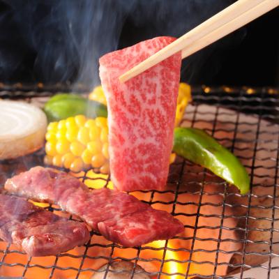ふるさと納税 白川町 飛騨牛 焼肉用 肩ロース 700g(350g×2)