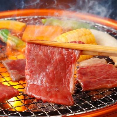 ふるさと納税 白川町 飛騨牛 焼肉用 もも・かた肉600g(300g×2)