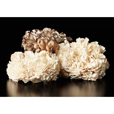 ふるさと納税 湯梨浜町 氷温熟成舞茸グルメセット(117K.)