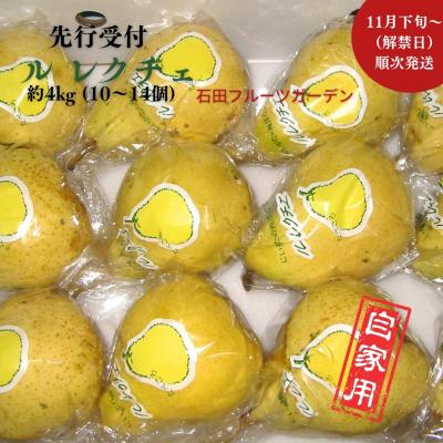 ふるさと納税 三条市 先行受付 ルレクチエ 自家用 約4kg 11月下旬〜発送予定 石田フルーツガーデン