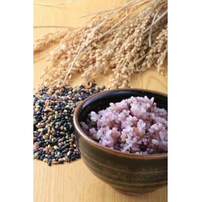 ふるさと納税 阿賀野市 [令和7年産新米][有機JAS認証取得]夢の谷ファームの有機古代米 100g×16袋