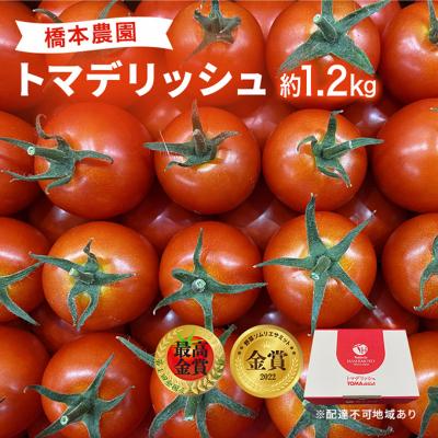 ふるさと納税 赤磐市 フルーツトマト [2026年先行受付]トマデリッシュ 約1.2kg [NO5765-0835]