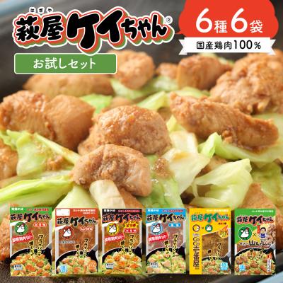 ふるさと納税 下呂市 萩屋ケイちゃん 6種類お試しセット(各230g×1)計6パック 冷凍配送[10-9]