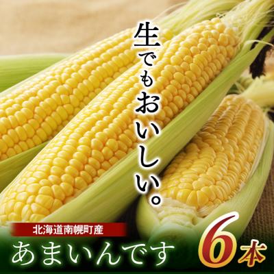 ふるさと納税 南幌町 令和8年発送 北海道産 とうもろこし あまいんです 6本 /朝採れ 一番果