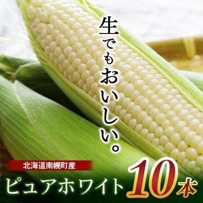 ふるさと納税 南幌町 令和8年配送 北海道産 とうもろこし ピュアホワイト 10本 朝採れ 一番果