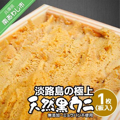 ふるさと納税 南あわじ市 先行受付[花光]淡路島の至極ウニ!天然黒ウニ(板入1枚)[無添加・ミョウバン不使用・期間/数量限定]