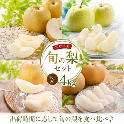 ふるさと納税 八頭町 【訳あり】鳥取県産旬の梨セット 4kg | 