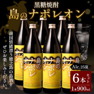 ふるさと納税 天城町 [鹿児島県天城町]奄美黒糖焼酎 島のナポレオン 900ml×6本セット 黒糖焼酎 瓶 計5.4L