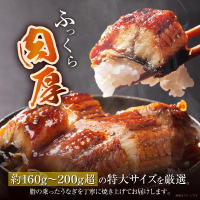 ふるさと納税 福智町 国産うなぎ蒲焼特大4尾(計800g以上)鰻蒲焼用タレ・山椒付 |  | 01