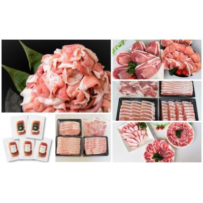 ふるさと納税 錦江町 [6ヶ月定期便] 錦江町舞桜豚よくばりセット TK-136-2