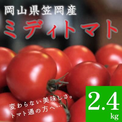 ふるさと納税 笠岡市 笠岡産ミディトマト2.4kg(数量限定)