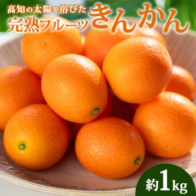 ふるさと納税 香南市 [完熟きんかん]高知の太陽を浴びた完熟フルーツ きんかん 1kg ku-0032