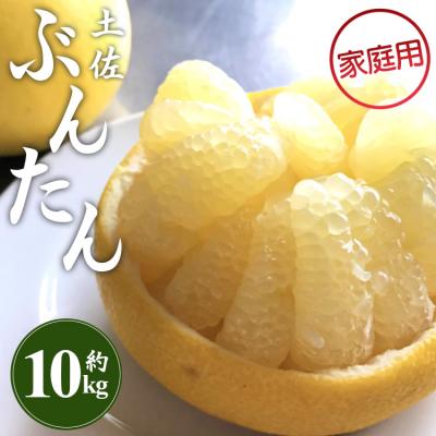 ふるさと納税 香南市 訳あり 土佐文旦 10kg 家庭用 柑橘系果物 柑橘類 フルーツ 高知県 間城農園 ms-0095