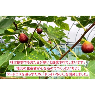ふるさと納税 宝達志水町 ドライフルーツ いちじく 50g [モアショップヤマモト 石川県 宝達志水町 38601069] |  | 02