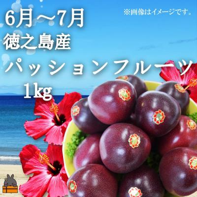 ふるさと納税 徳之島町 フルーツアイランド徳之島 季節のフルーツ定期便 ( マンゴー たんかん パッション ) |  | 02