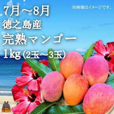 ふるさと納税 徳之島町 フルーツアイランド徳之島 季節のフルーツ定期便 ( マンゴー たんかん パッション ) |  | 03