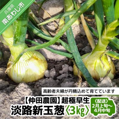 ふるさと納税 南あわじ市 [新玉先行受付!][仲田農園]超極早生新玉葱「福寿玉ねぎ」3kg◆配送2月上旬〜4月中旬