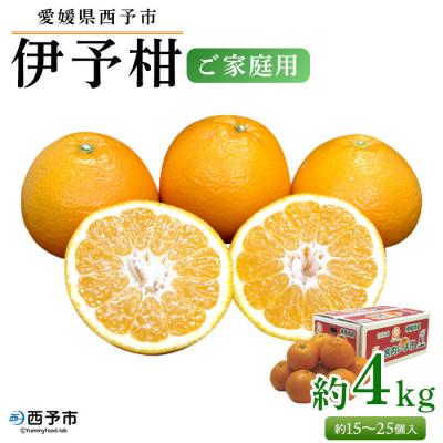 ふるさと納税 西予市 &lt;愛媛県西予市産 伊予柑 ご家庭用 4kg&gt; 柑橘 特産 果物 フルーツ いよかん