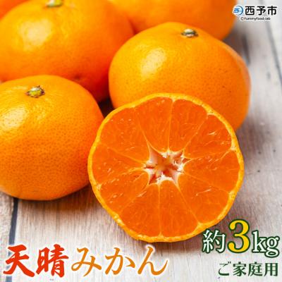 ふるさと納税 西予市 [先行受付]愛媛県明浜産 天晴みかん(温州みかん) 3kg
