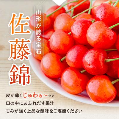 ふるさと納税 長井市 【2027年発送】ご家庭用さくらんぼ佐藤錦720g(ML混合・180g×4P詰)_H223(R9) |  | 02