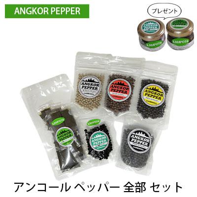 ふるさと納税 赤磐市 アンコール ペッパー 全部セット(乾燥・生 塩蔵)胡椒 スパイス [NO5765-0834]