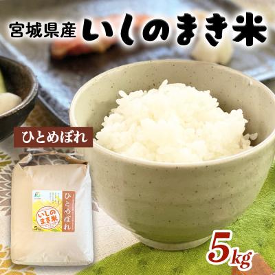 ふるさと納税 石巻市 宮城県いしのまき産米「令和7年産ひとめぼれ」(精米)5kg いしのまき米 白米 お米 ごはん 米