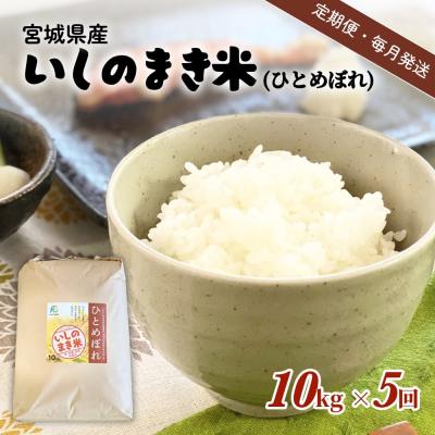 ふるさと納税 石巻市 [定期便5回・毎月発送]宮城県いしのまき産米「ひとめぼれ」10kg×5回(精米) 石巻市 お米 米