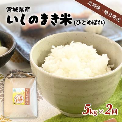 ふるさと納税 石巻市 米 定期便 [定期便2回・毎月発送]宮城県いしのまき産米「ひとめぼれ」5kg×2回(精米) 石巻市