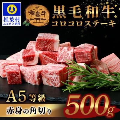 ふるさと納税 椎葉村 宮崎県産 椎葉牛 赤身の角切りコロコロステーキ 500g[A5等級]