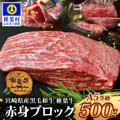ふるさと納税 椎葉村 宮崎県産 椎葉牛 赤身ももブロック 500g[A5ランク指定 黒毛和牛]