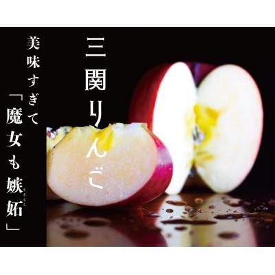 ふるさと納税 湯沢市 三関産ふじりんご3kg満杯詰め[K10401]