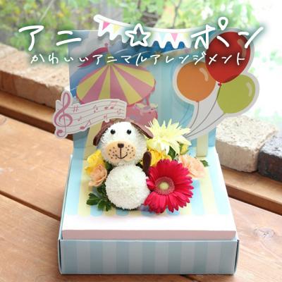 ふるさと納税 石巻市 アニ☆ポン(イヌ)