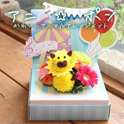 ふるさと納税 石巻市 アニ☆ポン(ライオン)