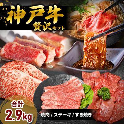 ふるさと納税 加西市 神戸牛 福袋 帝神 おまかせコース F サーロインステーキ 肩スライス [No5698-1147]