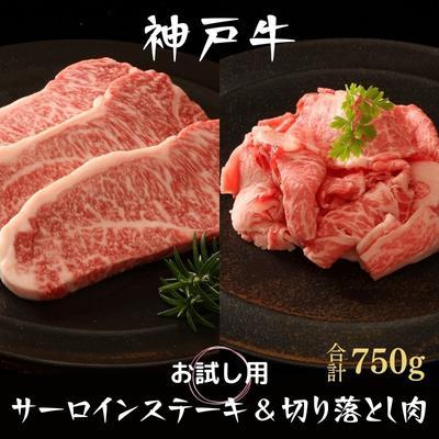 ふるさと納税 加西市 神戸牛 サーロインステーキ 切り落とし お試しセット 750g セット [No5698-1140]