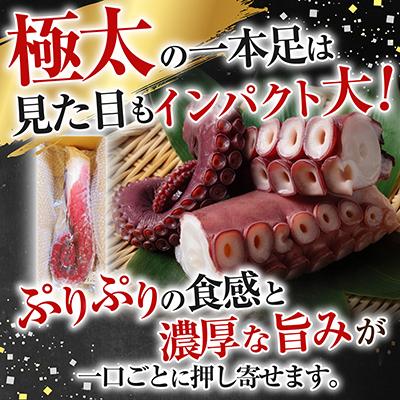 ふるさと納税 根室市 【北海道根室産】真たこ1本足1〜1.3kg A-19004 |  | 01